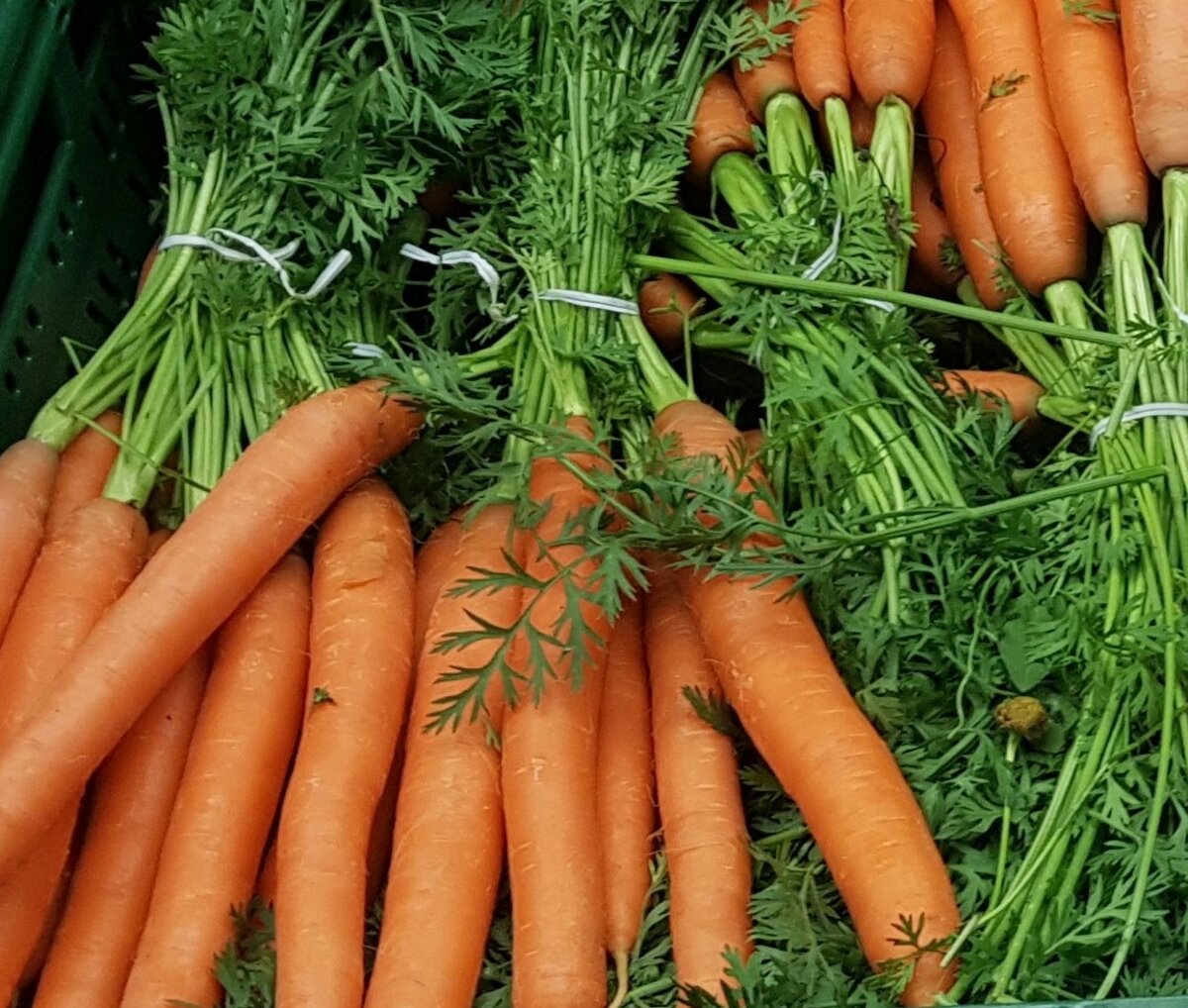 Abfallvermeidung beim Einkaufen – Positivbeispiel: Unverpacktes Gemüse, Karotten, Möhren, loses Gemüse, Vermeidung von Verpackungsmüll