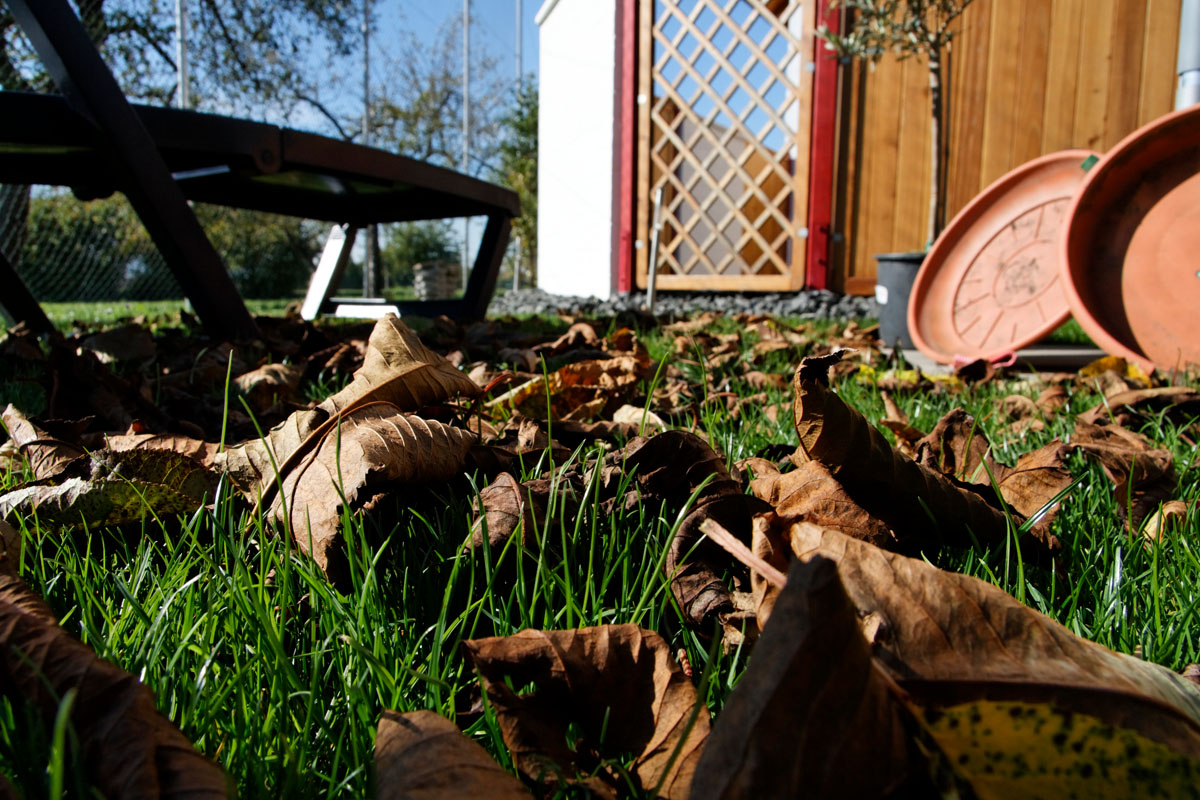 Herbststimmung im Garten: Laub, Blätter, Rasen, Gartenliege, Untersetzer