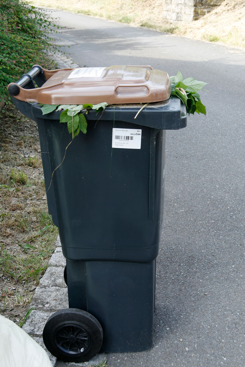 Randvoll gefüllte Biotonne mit braunem Deckel und grauem Rumpf (Korpus) steht zur Müllabfuhr am Straßenrand bereit