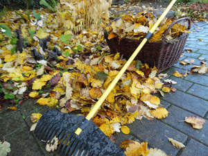 Laub, Herbst, Kompostierung, bunt, Blätter, Rohstoff, Laubrechen, Weidenkorb; Sammelkorb