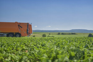 Müllfahrzeug, Hecklader, Mülllaster, Müllauto, Feld, Acker, Äcker