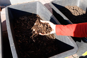 Wertvoller Dünger und gefragtes Bodenverbesserungsmittel: Kompost aus Biomüll, Wanne, Hand