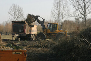 Häckselaktion, Shredderaktion, Häckselmaschine, Häcksler, Zerkleinerer, Beladen, Radlader, Häckselmaterial, Häckselgut