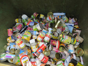 Verpackungen aus Weißblech (Metall) und Aluminium: Fischdosen, Konservendosen, Spraydosen, Dosen und Schalen für Tiernahrung