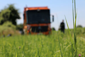 Oranges Müllfahrzeug, Hecklader, Mülllaster, Müllauto, Natur