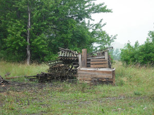 Wilde Müllablagerung auf einer Wiese: Holzabfälle, Holzkisten, Holzpaletten, Holzlatten, Holzbretter