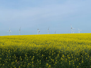 Windrad, Windräder, Windkraftanlage, Windenergieanlage, Windpark, Klimaschutz, regenerative Energie