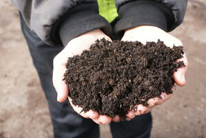Kompost, Bodenverbesserungsmittel
