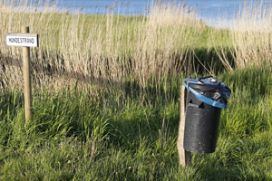 Für Sauberkeit am Hundestrand: Grauer Restmülleimer, Abfallsammelbehälter, Müllsammelbehälter, Meer