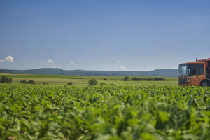 Oranges Heckladermüllfahrzeug, Führerhaus, Landschaft, Feld, Acker, Mülllaster, Müllauto