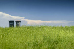 Restabfalltonne, Biotonne, MGB 120-Liter, grauer Rumpf, grauer Korpus, brauner Deckel, Natur