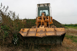 Raupe auf einer Bauschuttdeponie