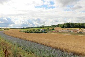 Bauschuttdeponie, Deponiefläche, Ablagerungsfläche, Getreidefeld, Blühwiese