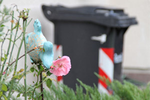 Graue Restabfalltonne, Garten, Rose, Fisch-Ornament