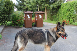 Braune Biotonnen (MGB 240 Liter), BioEnergieTonne, Garten, Schäferhund, Schäferhündin Roxette, Roxy
