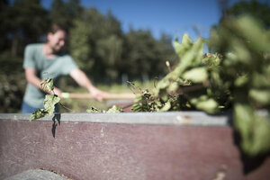 Grüngutsammlung, Grüngutannahme