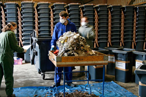 Hausmüllanalyse, Restmüllanalyse, Restabfallanalyse, Müllsortierung, Sortiertisch, Sortierpersonal, Sortierkräfte, Müllhaufen, Untersuchung