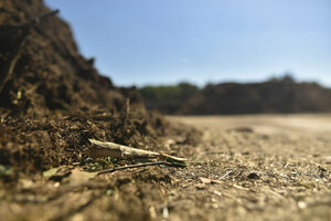 Kompostwerk, Kompostanlage, Kompostmieten, Mietenfläche, Close-up, Nahaufnahme