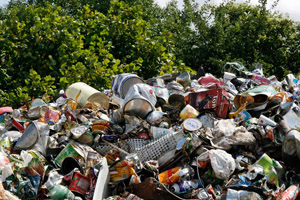 Dosenberg auf einer Sortieranlage: Konservendosen, Metallbehälter, Störstoffe