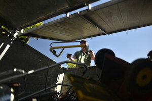 Altmetallcontainer, Altmetall, Einwurf, Mann