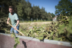 Anlieferung von Grüngut, Grünabfall, Grünabfälle, Gartenabfall, Gartenabfälle, Abladen, PKW-Anhänger