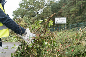 Grüngutsammlung, Grüngutsammelplatz, Grüngutannahme, Ast, Äste, Zweige, Strauch, Sträucher