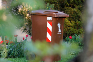 Braune Biotonne, BioEnergieTonne, MGB 240 Liter, Garten, Tulpen, Blumen