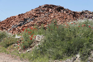 Bauschuttdeponie, Ziegelschutthaufen, Dachziegel