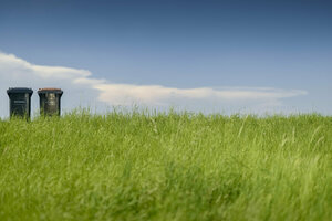 Restabfalltonne, Biotonne, Wiese