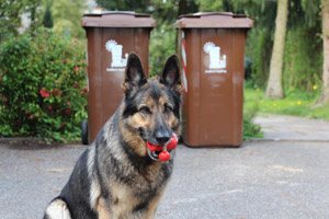 Braune Biotonnen (MGB 240 Liter), BioEnergieTonne, Garten, Schäferhund, Schäferhündin Roxette