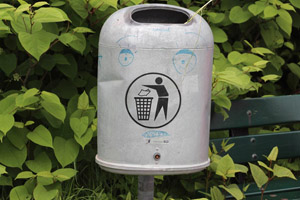 Öffentlicher Papierkorb, Piktogramm Papierkorb, Graffiti, Parkbank