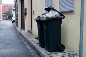 Überfüllte Restabfallbehälter (MGB 120 Liter) mit offenem Deckel: Plastiktüten, Tonne mit Schwerkraftschloss, Gehsteig, Straßenrand, Stadt