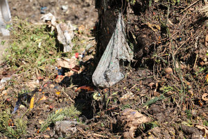 Bioabfälle, kompostierbare Biomüllbeutel, Fremdstoffe, Störstoffe