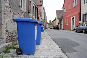 Müllabfuhr: Blaue Papiertonnen stehen am Straßenrand zur Leerung bereit