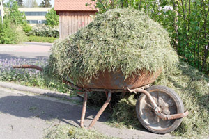 Grüngutentsorgung: Schubkarren mit Rasenschnitt an einer Wertstoffsammelstelle