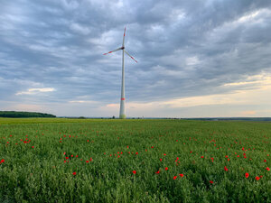 Windrad, Windkraftanlage, Windenergieanlage, Windpark, Klimaschutz, Mohnfeld
