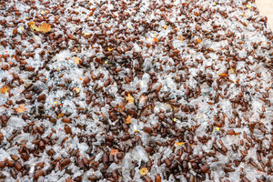 Glasflaschen, Glasfläschchen, Glasverpackungen, Weißglas, Braunglas